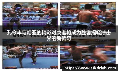 云顶国际